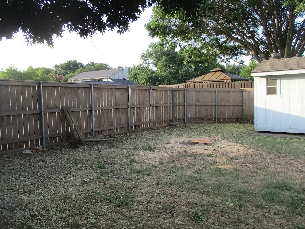 Cleared yard after professional tree removal in North Vernon